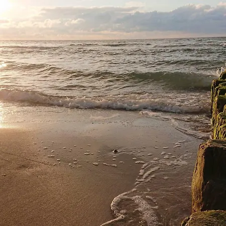 Apartment Haus Edelweiss Paetow Steinberg Gm 69666 Graal-Mueritz