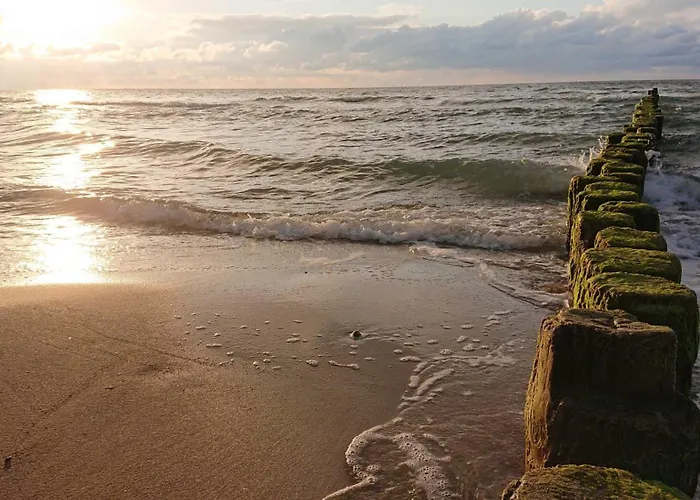 Appartement Haus Edelweiss Paetow Steinberg Gm 69666 Graal-Mueritz